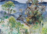 Charles Donker, {Forêt de nuages : arbres dans la forêt tropicale près d'Utuana, Équateur}, 2003