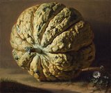 3. Attributed to Antoine Chazal (Paris 1793 – 1854 Paris), {A Pumpkin}